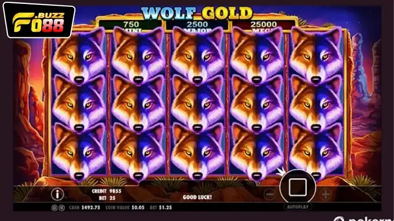 Hướng dẫn cách chơi game Wolf Gold Fo88 cho người mới