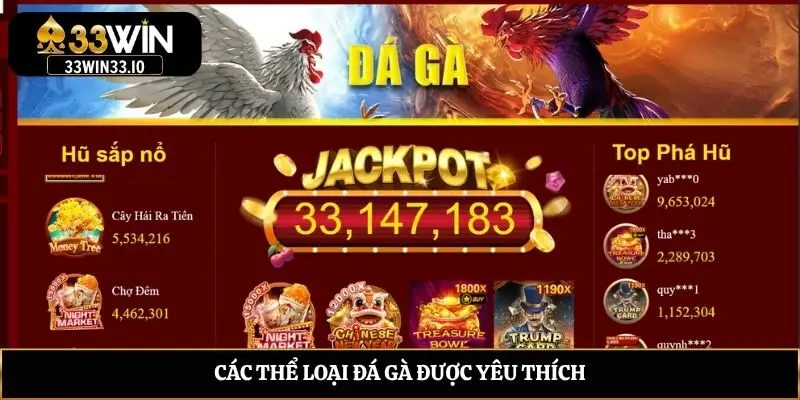 Các thể loại đá gà được yêu thích