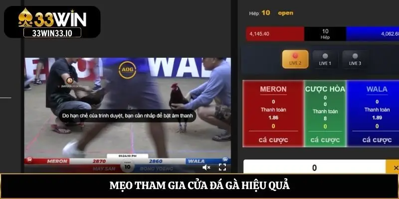 Mẹo tham gia cửa đá gà hiệu quả