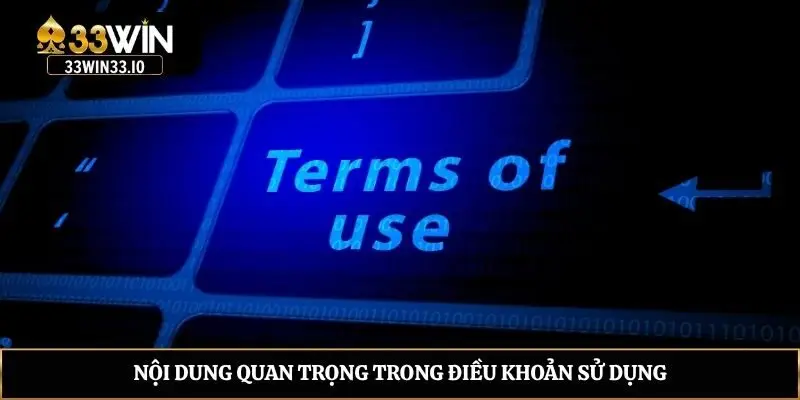 Nội dung quan trọng trong điều khoản sử dụng