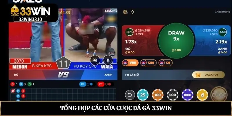 Tổng hợp các cửa cược đá gà 33win